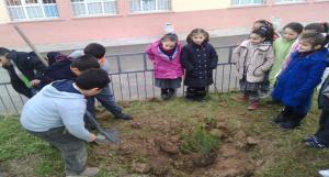 Nazım Akçan İlkokulu Okul Bahçesi Güzelleştirme Çalışması